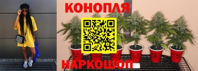 марихуана Краснодар