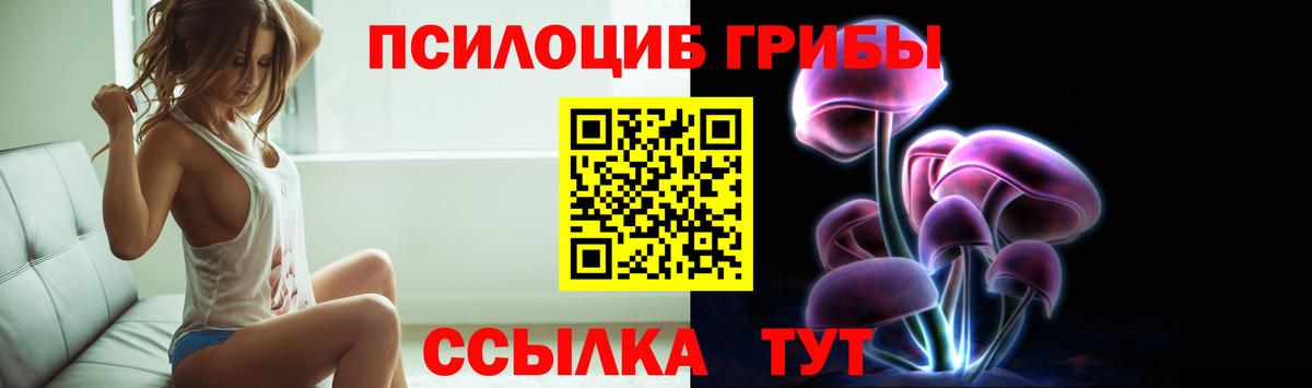 Галлюциногенные грибы Cubensis Хасавюрт
